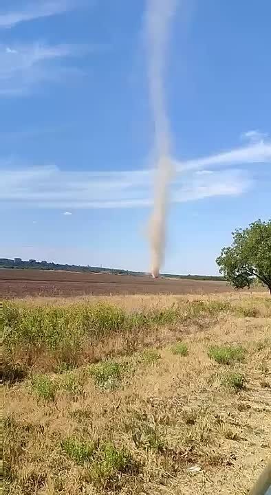 �����, ��� ��������� ������� ����� ��������