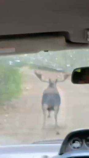    :    