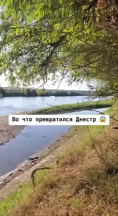 � ���� ��������� ����� ����������� ������� ����� ������