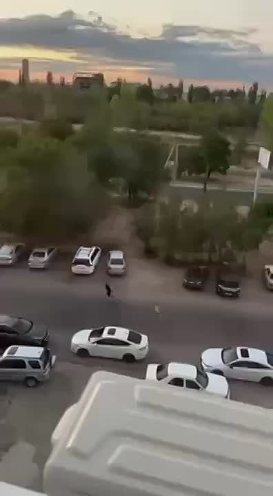 �� ����� �������, ��� ����� ����� �������� �������� ������ �������