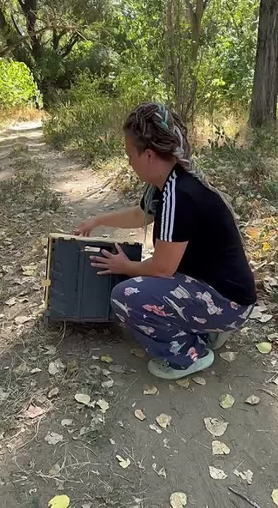 �� ����� ��������� � ������� ���������� ���� �������� ��������� �� ���� ����, ������� ����� �������� � ���������