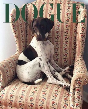  Vogue     