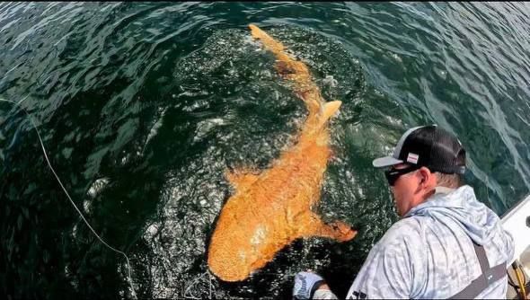 ������� ����� ��� �� �� - � �����-���� ������� ������� ����� � ������ �������: