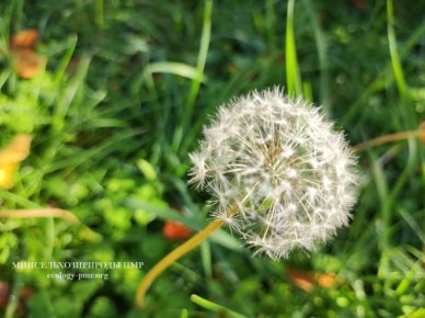  !.    , 19 