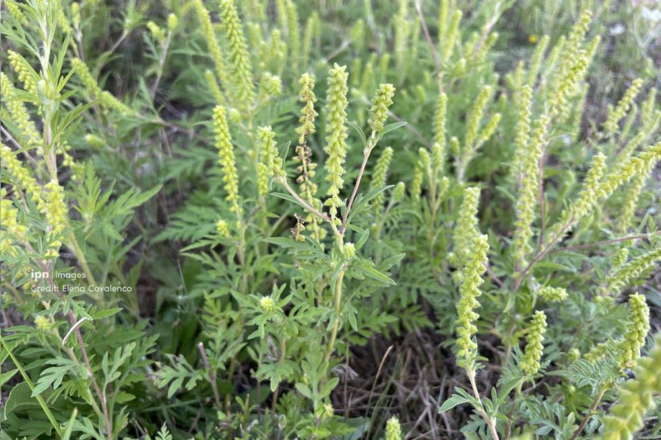 � ������������� ������� ��� �������� ��������, ����� ������� � ������ �������� - ����� ������� ��� ��� ����������