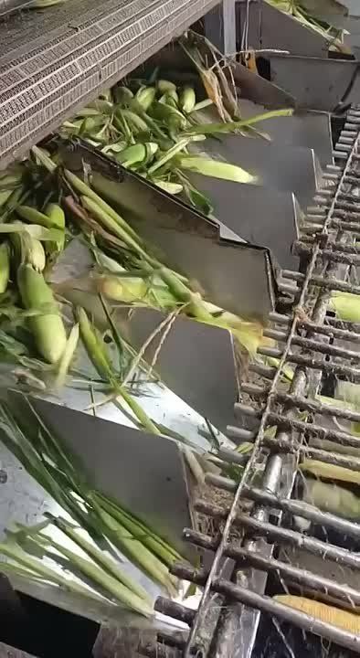 ��� �� ������ �������� ������� � ��������� �������������� �������� � ���������