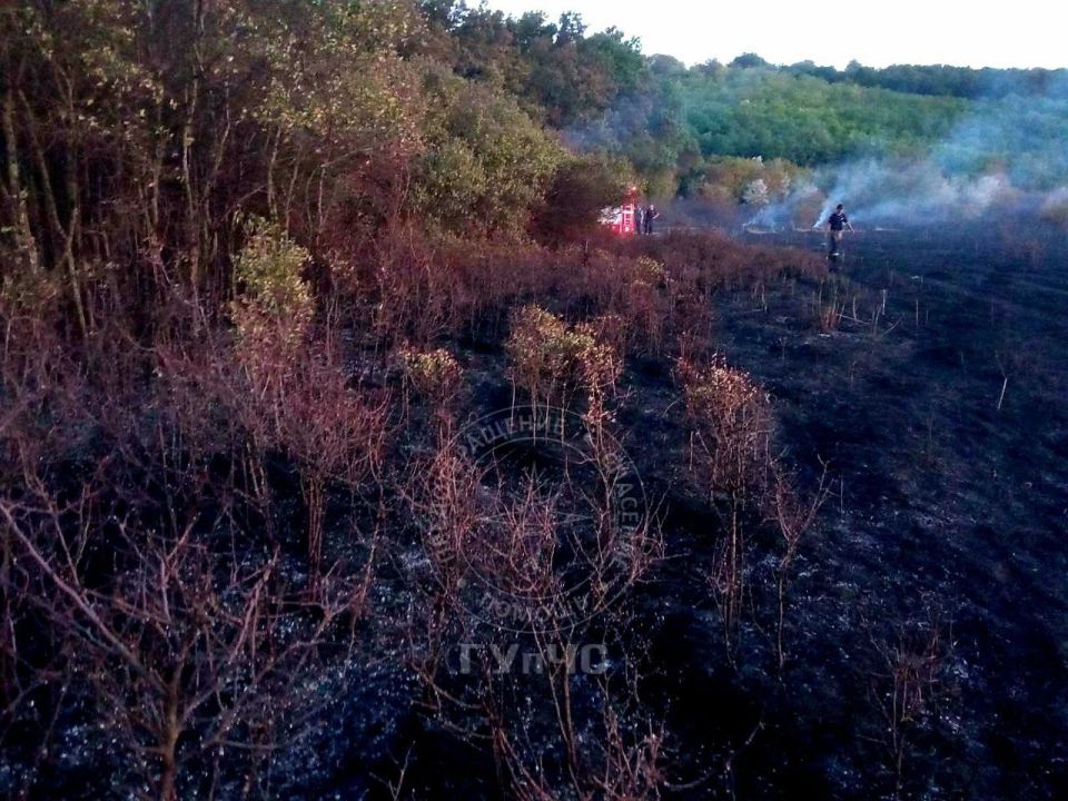 В Григориопольском районе удалось предотвратить переход крупного пожара на лес и жилые дома у села Колосово