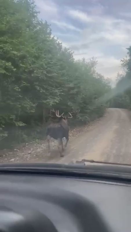 ����, �������, ������ � �������� ������ � ��������