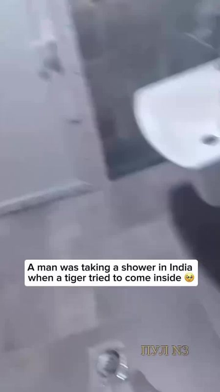 � �� ��� ��������� �� ��������� � ����������: ������� � ����� �������� ���, ����� �� ��������� ���� �������� ����