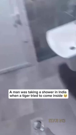        :     ,      