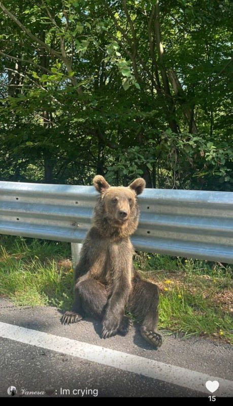 ������� �� ����� ��������, ��� ��� �� ��-��-�����, � ������� ������