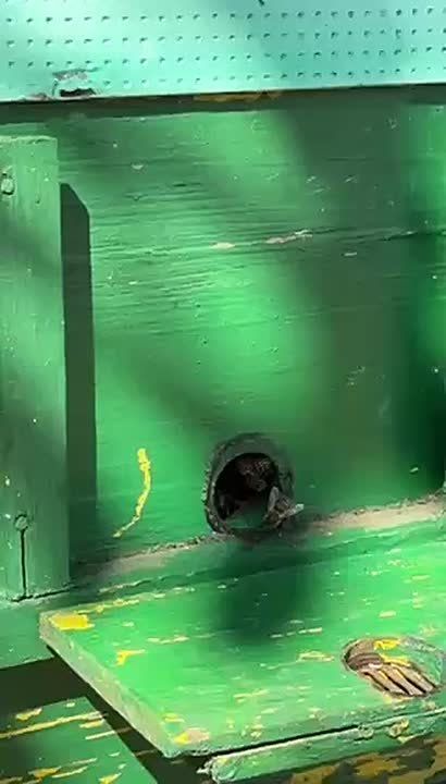 ��� ����� � ������ � ���� �����