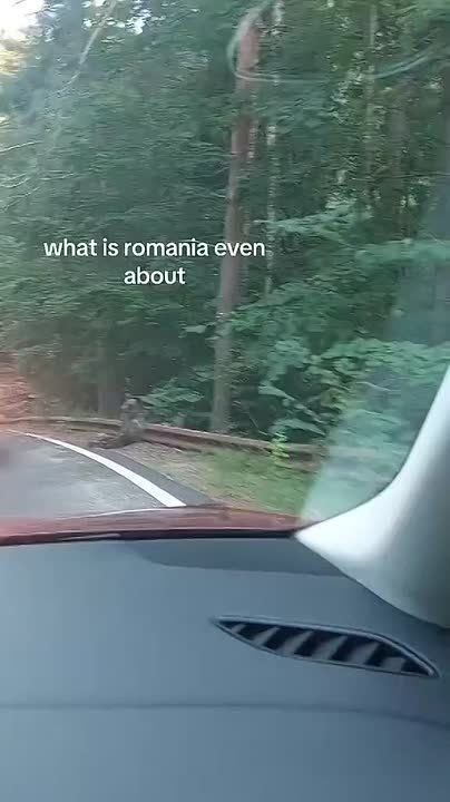 �������� ������� �� ������� � ����� ������ TikTok