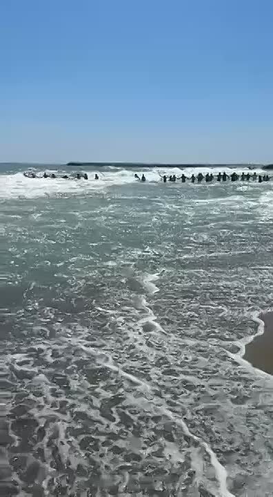 � ������� �����, ��� ������� ������� 50 ��� � ����� �����, ����� �� ������� � ����