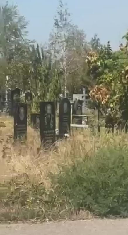 ��������� ��������� �� ������� ������� ������� ����� �������� �� �������� �� �������� � ��������� ����������� ��������