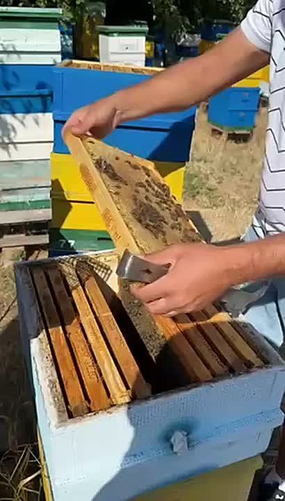 ����� ����� ���������� � ����, � ��������� �������� ��� ��� ������ ��� �� �����