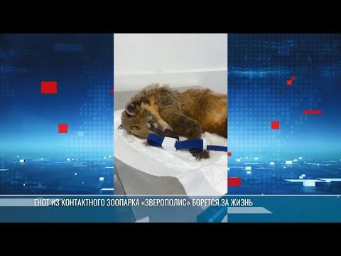 � ��������� ���������� �������� ����������� ������� �����-������