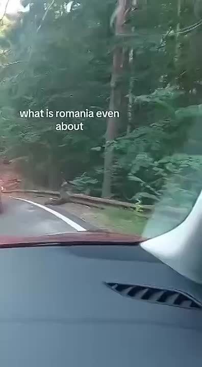 �������� ������� �� ������� � ����� ������ TikTok