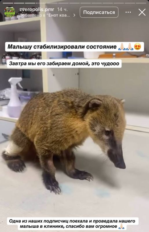 ����������� ������� �������� ���������