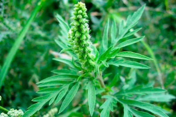 �������� �� �������� ����� ������� ������ � ��� ����������������� ���������� ������ � �������� ��� ����� ��������������� ����������� ���