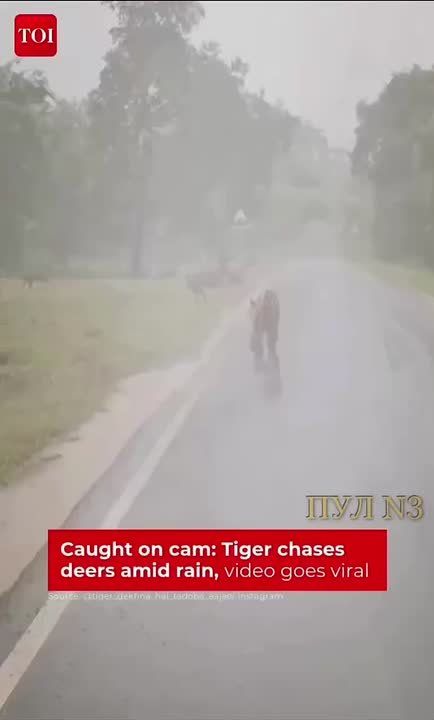 ������ ������ ������ ��������� ������, � ������ ������ ��������� ��� ��������: