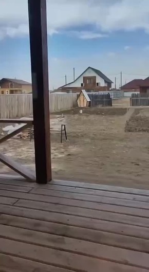    :      15 /     