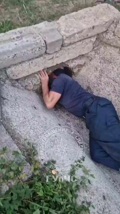 � ��������� ��������� �������� �� ����� ��������, ������� ����� ���� �� �����