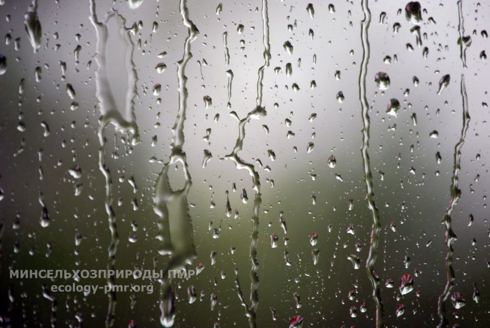 ��������� ��������������: ������� ������ ����� �� 15 �/�