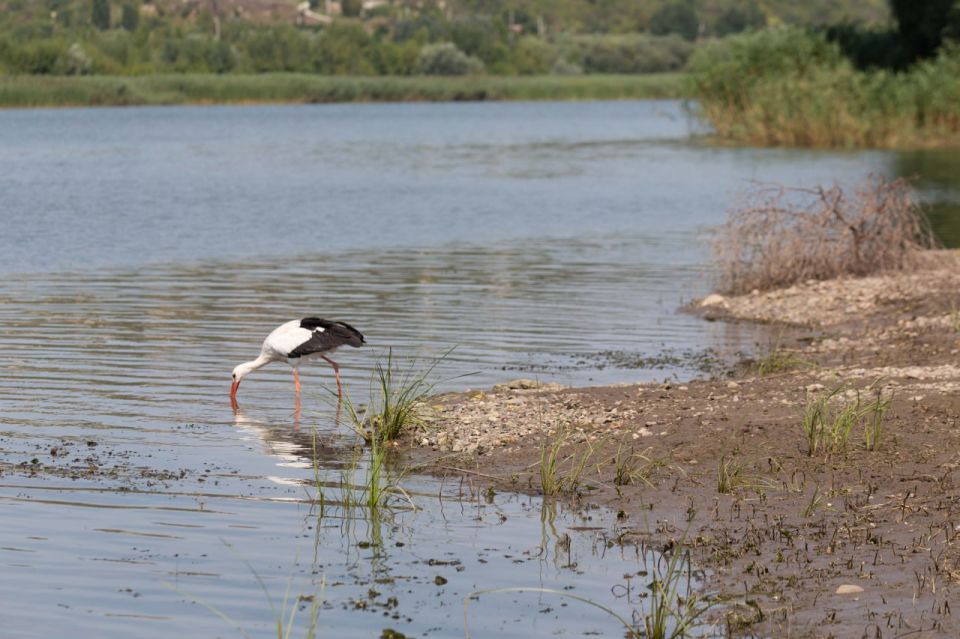 ������� �� ��� ���������� ��������� ������������ ����������� ������� +33��