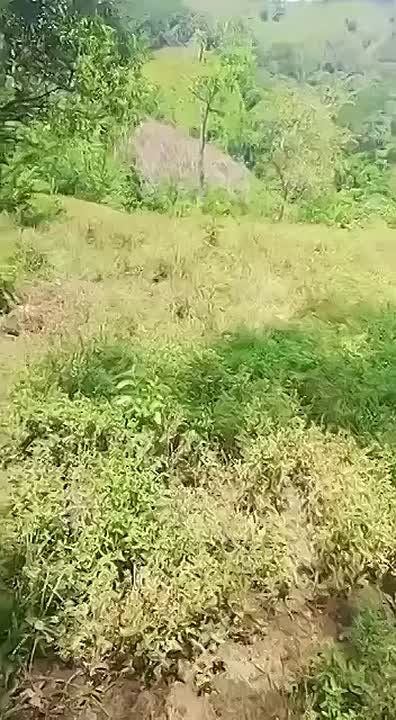 � �������� ������� ����� ����������� �������, ������� ������ �����������, � ��������� ������ ������� �����