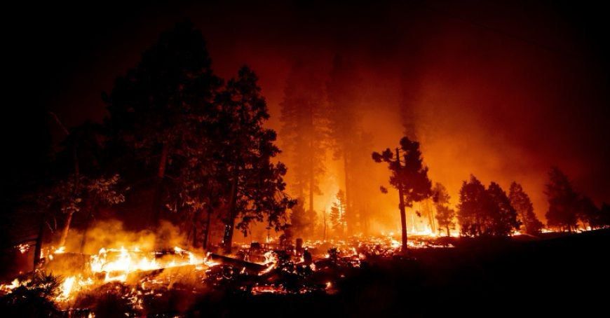 ������ ������ � ������ ��� ���������� �������, ����������� ������� ����� � 1 ��� ��������