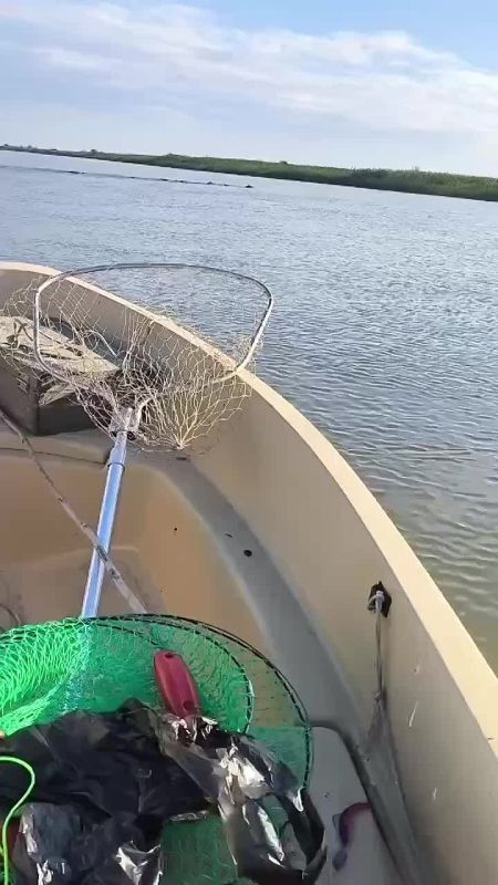 �������, ������! ������ � ��� �� �����: ������������ ������ �������, ��� ����� ��������� ������ ����������� �����