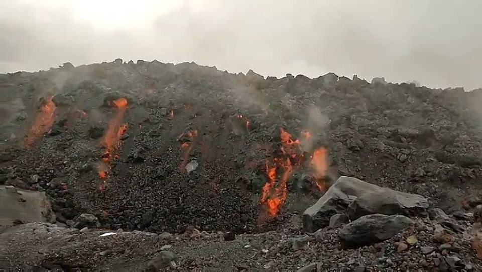 ������� ����� ������ ������� ����� ������� ���������� �� ��������