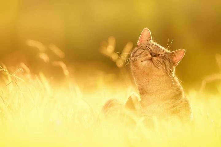 �� ��������� ������ � ������������� � ����, �������� � �� +30 ��