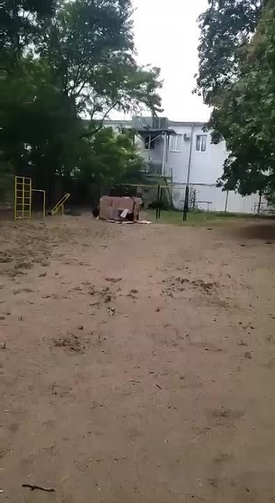          ,    