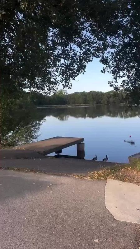 �� ������� �������� ������� ������ � ���� � ��������