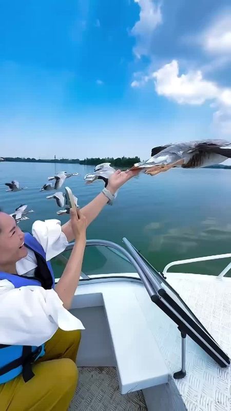 ����� ���: ���� �� ����� ��������� ����� ������ ����������� ���� ����� � �����