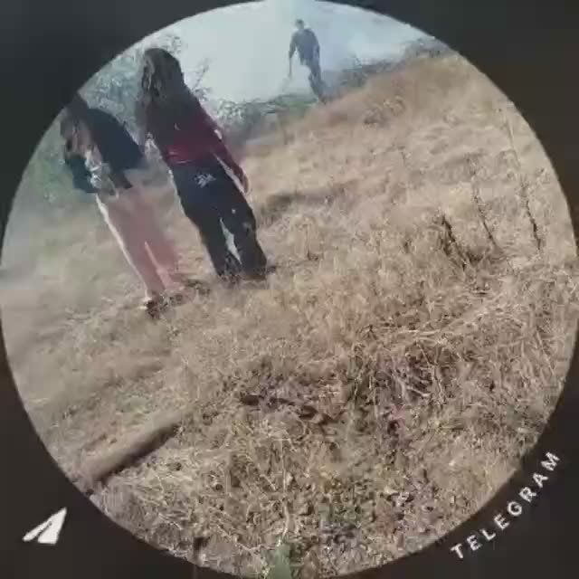   :     !
