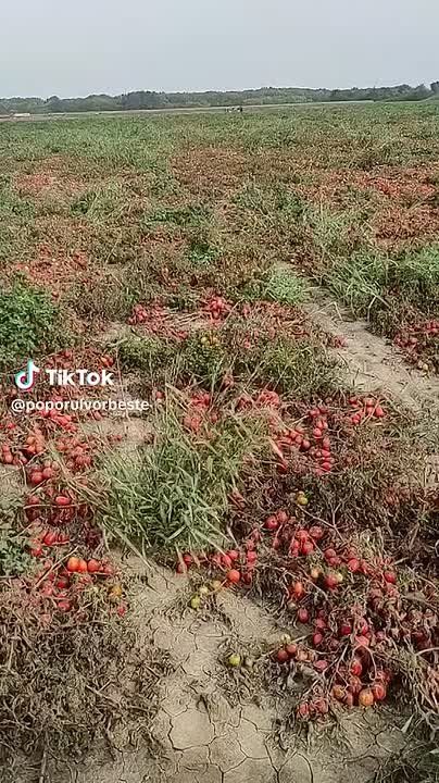 ���������� ������� � ���������� �������� ����� �� �����