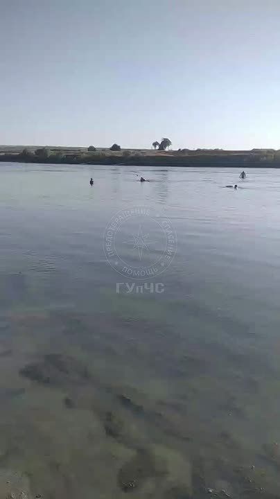 В Дубоссарах спасли тонущего в Днестре юношу, не умеющего плавать