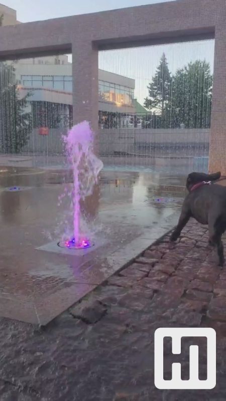 ������� �� ��������� ����. ���� �� ����� ���� ���: ��������, ��� �������, ����� �������� ������, �������� �����, ����� ��� 30-40 ����� � ������������� ��� ������