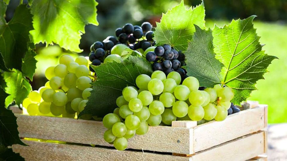 ��������� � ������ ����: �� 1000 �� ��� �������