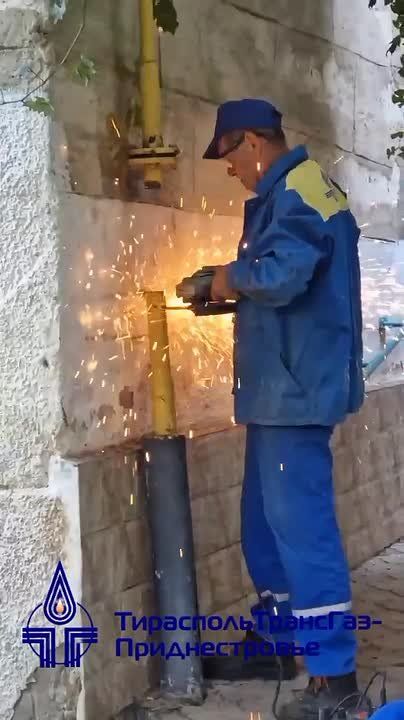              :
