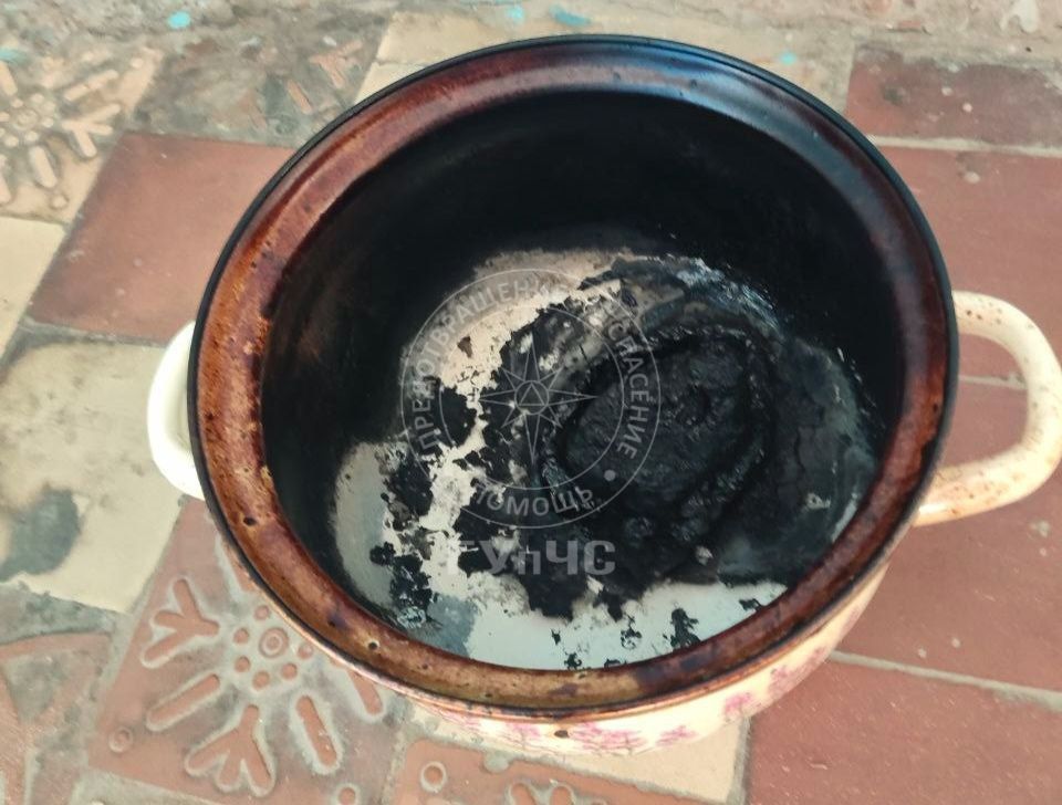 В Каменке хозяйка оставила на плите кастрюлю с мясом и легла спать