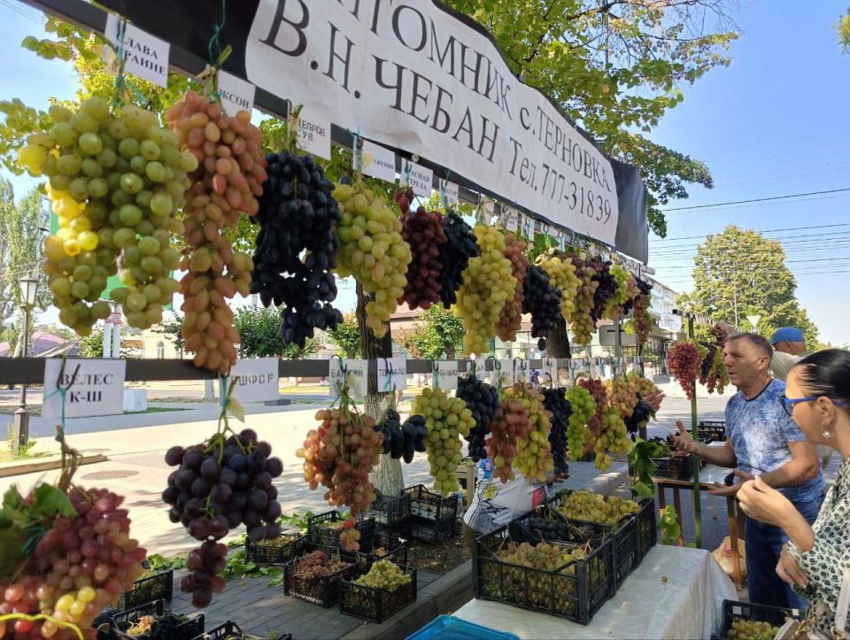 ��������� ������������� �� ������� � ��������