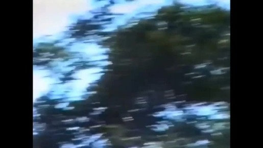  ,   ,   1994-   