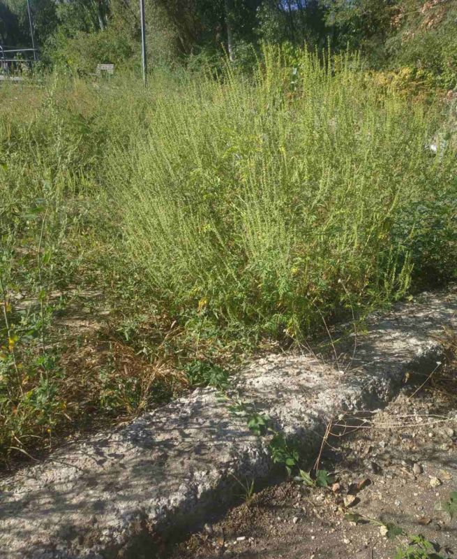 � ��������� ������� ������� ���� �������� � ������������ ���� ����� �����������