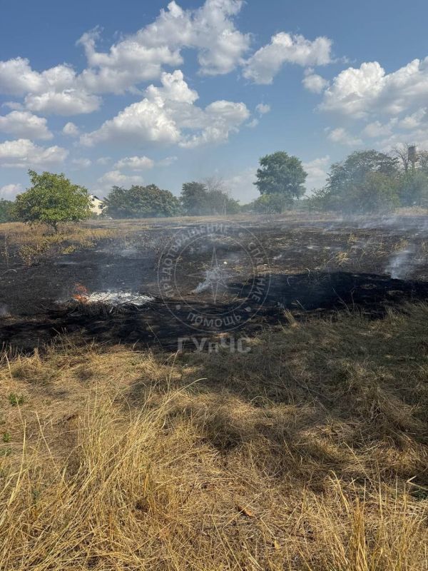 Накануне сухая трава горела в Дубоссарах