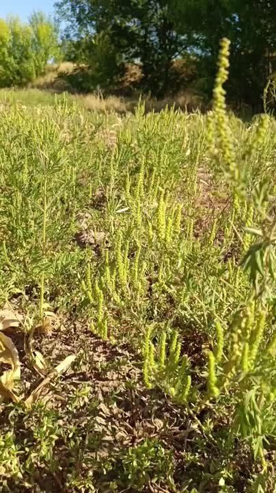 ��� �������� �������� �� ��������� ���������� ���� � ��������� �� ��������