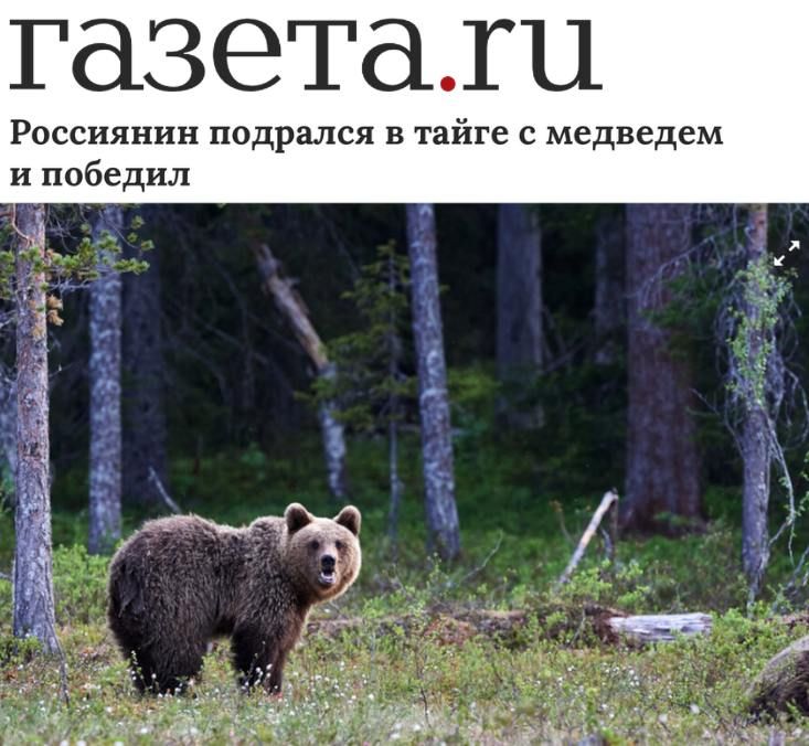 «Россиянин подрался в тайге с медведем и победил»: Ничего особенного, обычная новость из России